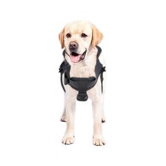 Kaya Safety DH-30 Köpek Kurtarma Kemeri